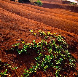 《迷雾魔域：迷雾与活地下城》10月27日steam正式推出